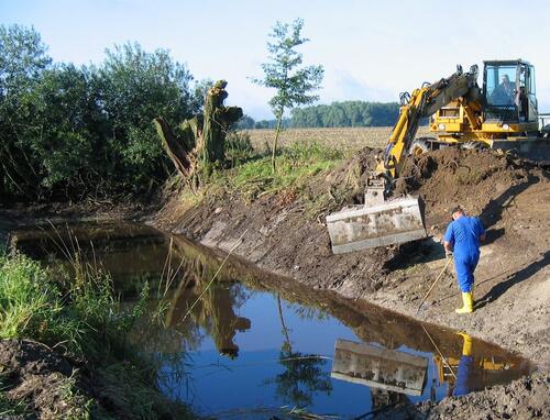 Gewässersanierung Amphibienschutz 