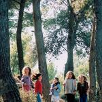 Botschafter der Umwelt Wald Kinder 