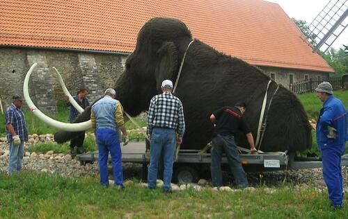 Mammut Eiszeitgarten 