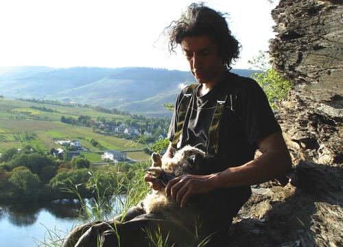 Stefan Brücher Uhu Eifel Beringung © EGE Eulen