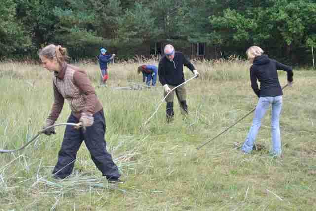 Zum Erhalt der Artenvielfalt mähen die Teilnehmer die Orchideenwiesen. © DBU Naturerbe/Bergwaldprojekt e.V.