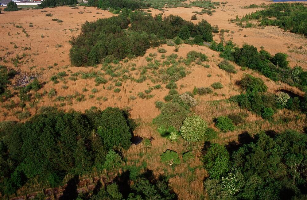 Luftbild der DBU-Naturerbefläche Peenemünde © DBU Naturerbe