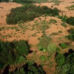 Luftbild der DBU-Naturerbefläche Peenemünde © DBU Naturerbe