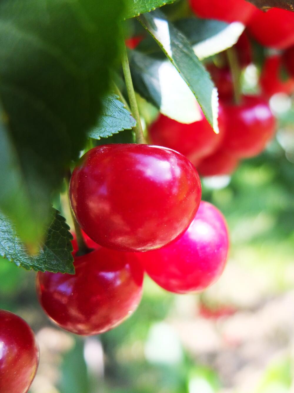 Sommerakademie 2014: Exkursion Stadtgut Görlitz  © Daniela Warzecha