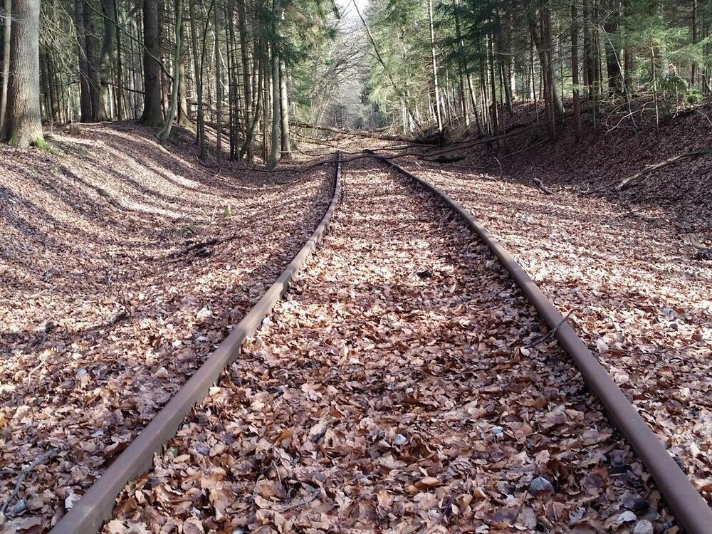 Lübberstedt © Deutsche Bundesstiftung Umwelt