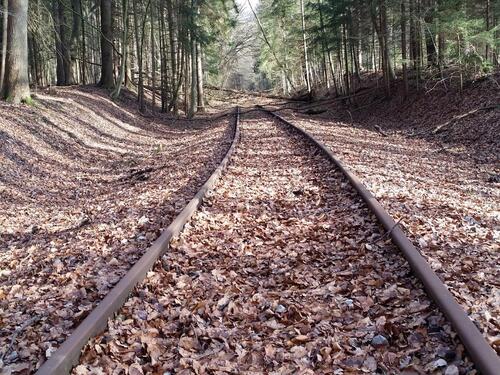 Lübberstedt © Deutsche Bundesstiftung Umwelt