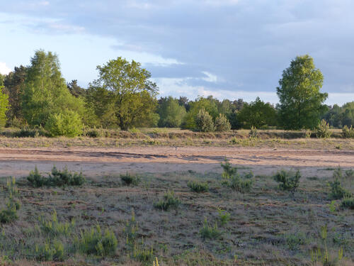 Sehen Sie selbst... © Bundesforst Rhein-Weser