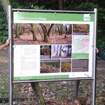 Infotafeln Elmpt © Bundesforstbetrieb Rhein-Weser
