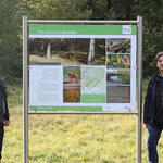 Infotafel Herongen © Bundesforstbetrieb Rhein-Weser