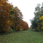 Drosselberg © Bundesforst/Tangermann