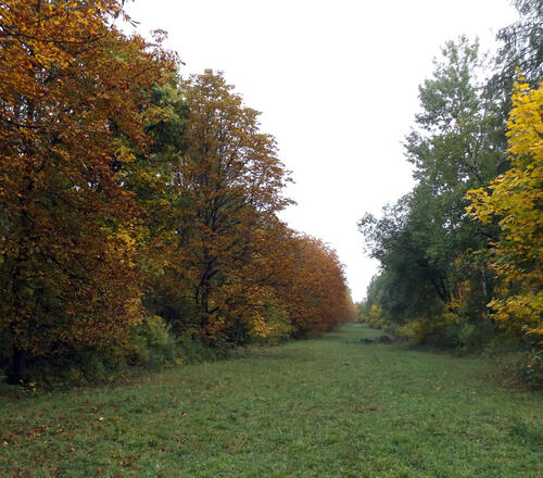 Drosselberg © Bundesforst/Tangermann