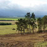 Günthersleben © DBU/Wahmhoff