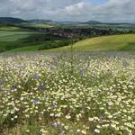 Schutzacker &copy; Stefan Meyer