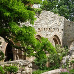 Sehen Sie selbst... © Brigitte Siegesmund