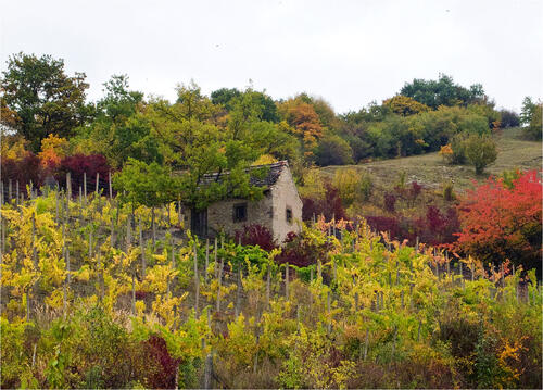 Sehen Sie selbst... © Arnold Müller