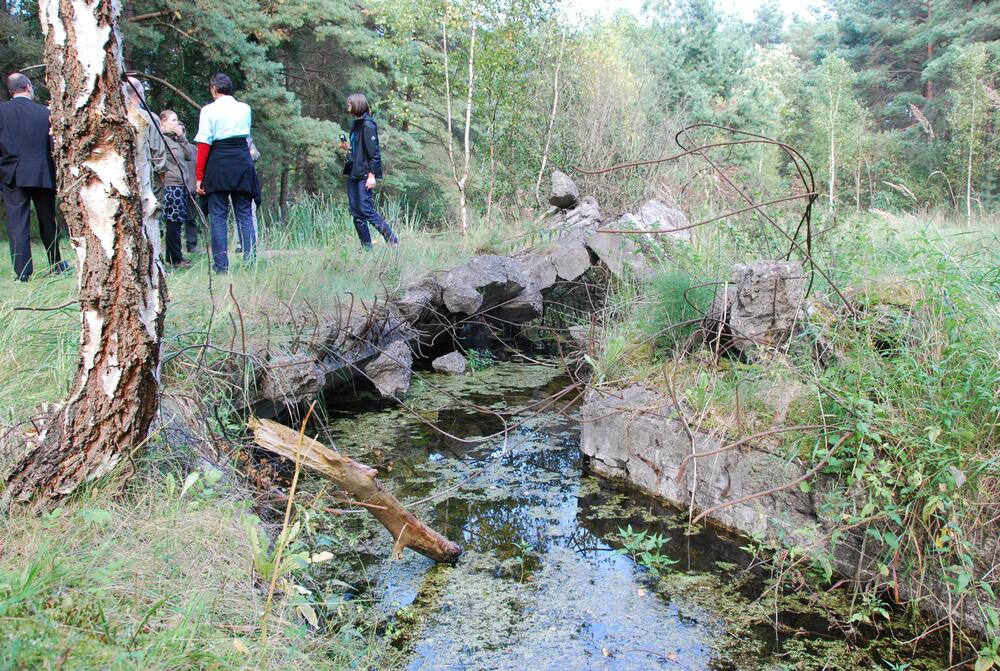 Bergwaldprojekt Peenemünde 2012 