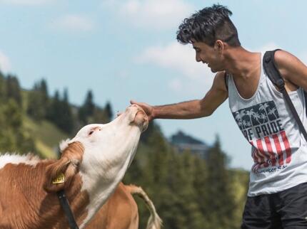 35002_Integration-Alm © DAV/Klaus Listl