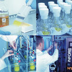 New bacterial oxidases 