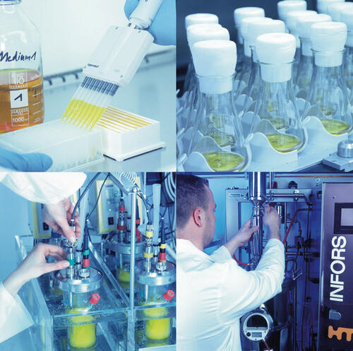 New bacterial oxidases 