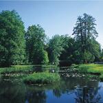 English landscape architecture in the Branitz Park 