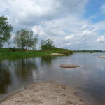 DBU-Naturerbefläche Ringfurther Elbauen &copy; Wolfgang Rost