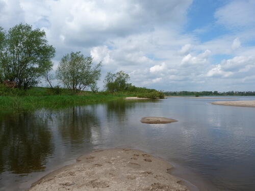 DBU-Naturerbefläche Ringfurther Elbauen &copy; Wolfgang Rost
