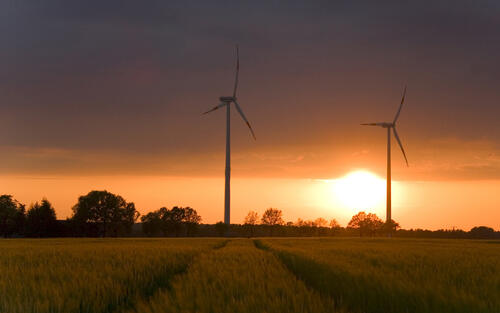 Windräder im Kornfeld © Jens Kolk/piclease