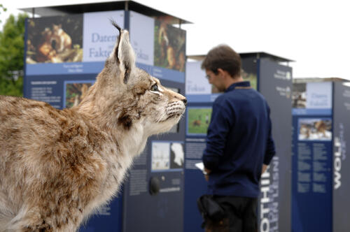 Expo der Vielfalt: Impressionen 30. Mai 2008 