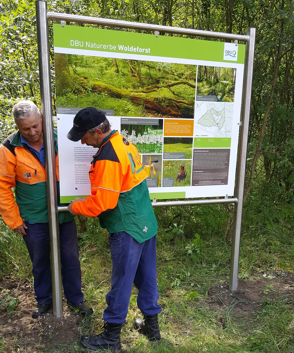 Infotafel Woldeforst 