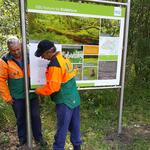 Infotafel Woldeforst 