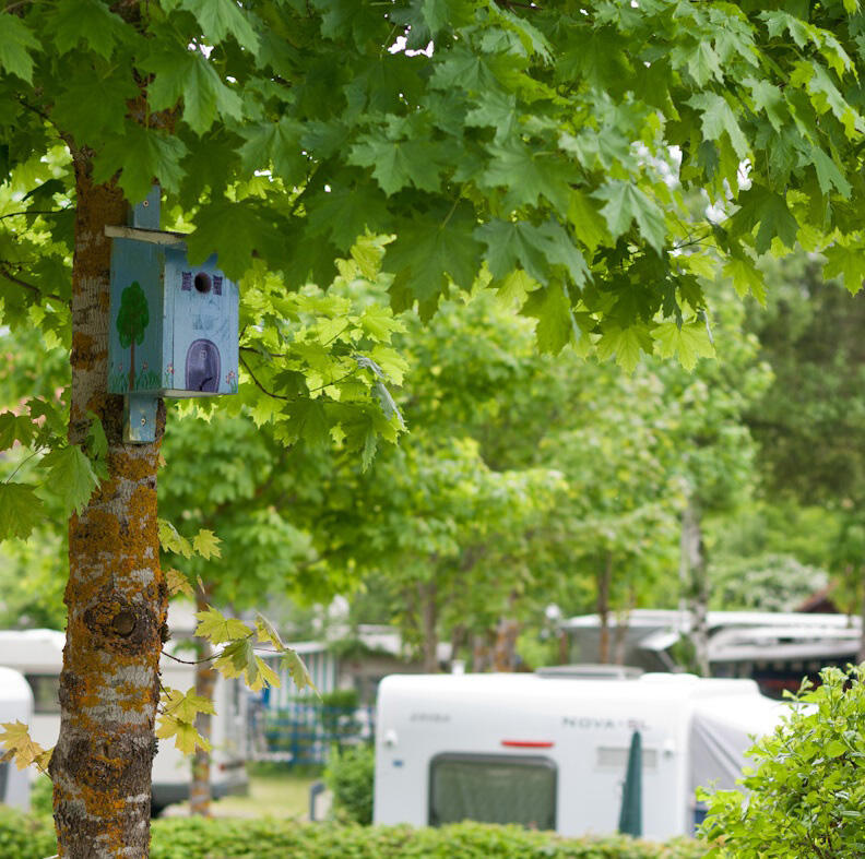 See for yourself © Kerstin Bittner