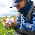 Sehen Sie selbst... © Archive Dr. Sven Junker