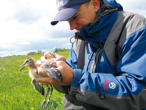 Sehen Sie selbst... © Archive Dr. Sven Junker