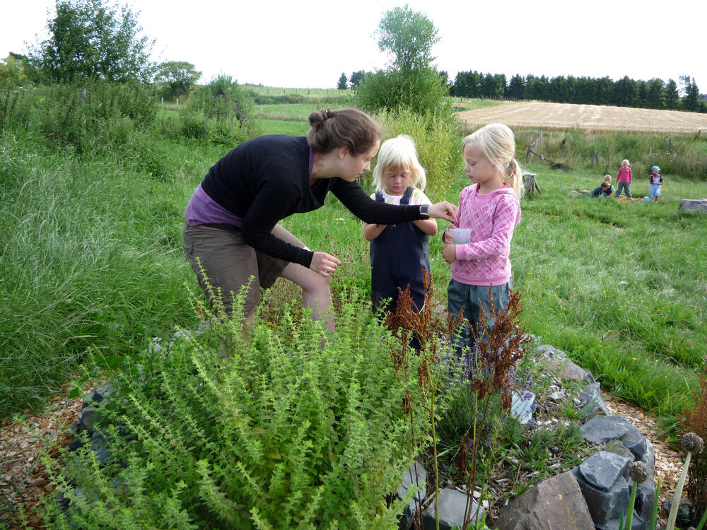 Sehen Sie selbst... © FLEX, Deutsche Bundesstiftung Umwelt