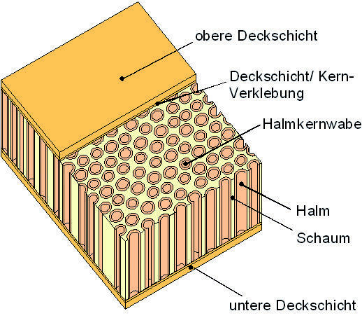 Nachhaltige Baustoffe aus nachwachsenden Rohstoffen 