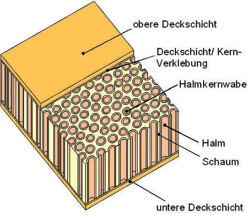 Nachhaltige Baustoffe aus nachwachsenden Rohstoffen 