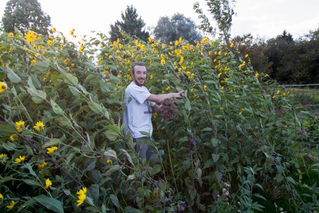 Gartenwerk_FörderprojektJugendkongress2015_NABU_JakobHörl &copy; Jakob Hörl_Gartenwerk