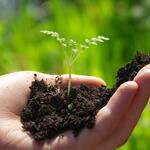 Sehen Sie selbst... &copy; Piclease/ Antje Deepen-Wieczorek