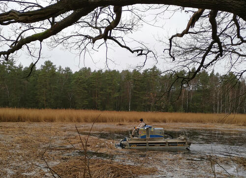 Truxor im Rotkerteich © Bundesforstbetrieb Lausitz