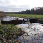 Kippwehr © Uwe Fuellhaas/DBU Naturerbe 