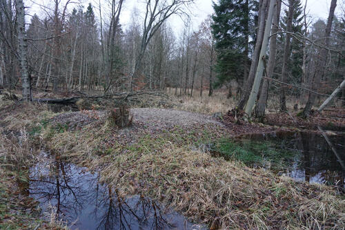 Grabenplombe © Uwe Fuellhaas/DBU Naturerbe 