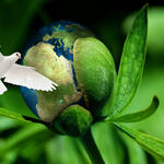 Sehen Sie selbst... © Deutsche Bundesstiftung Umwelt