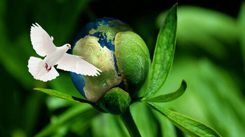 Sehen Sie selbst... © Deutsche Bundesstiftung Umwelt