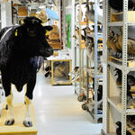 Symbolbild © Martin Kreuels/piclease