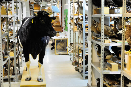 Symbolbild © Martin Kreuels/piclease