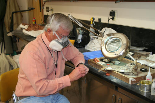 Symbolbild Präparator © Wilhelm Irsch/piclease