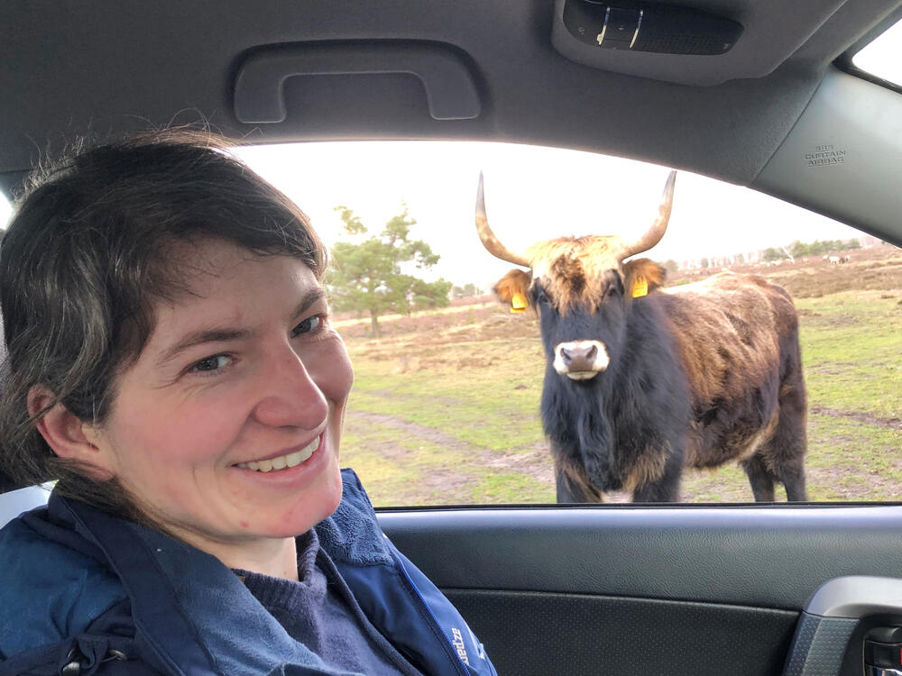 Christiane Hönicke mit Heckrind © Katja Behrendt/DBU Naturerbe