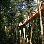 Pfad Baumkrone © Erlebnis Akademie AG