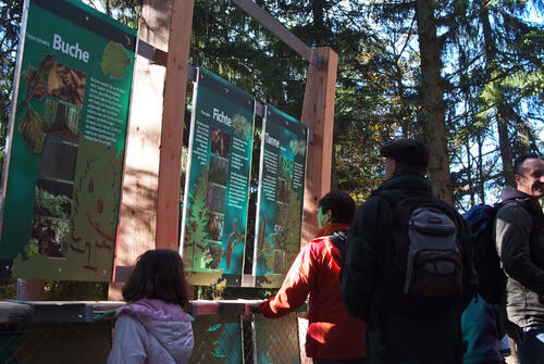 Lehrpfad/Infotafeln &copy; Erlebnis Akademie AG