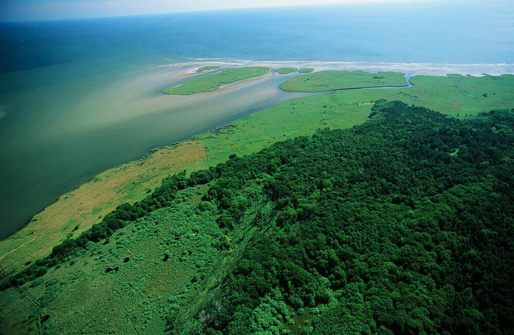 DBU Naturerbefläche Peenemünde © Norbert Rosing / DBU Naturerbe GmbH